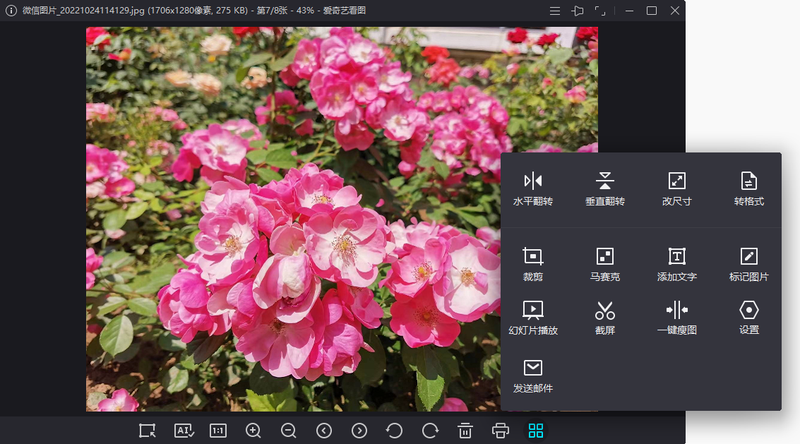 �����տ�ͼ