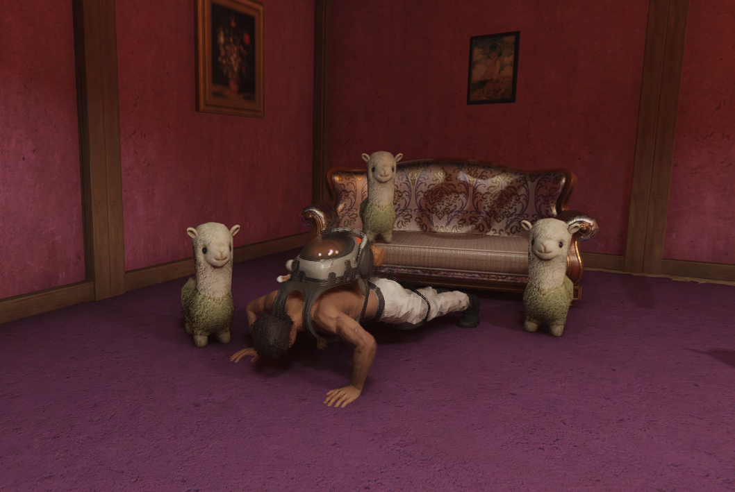 ��������