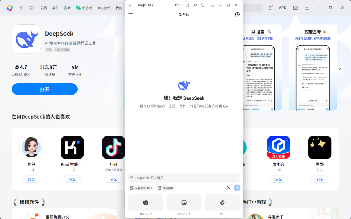 DeepSeekӦ�õ��԰�