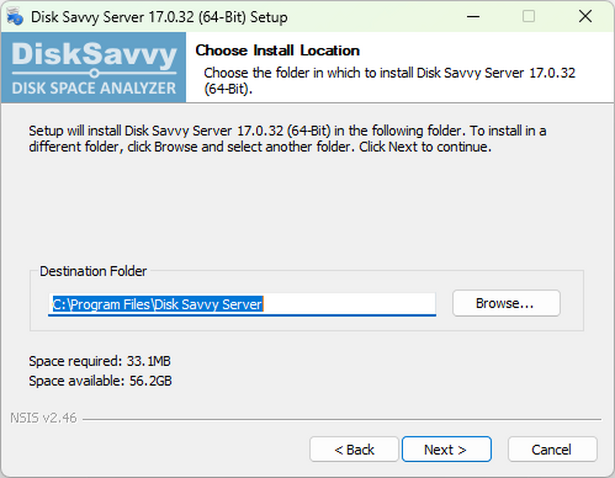 Disk Savvy Server