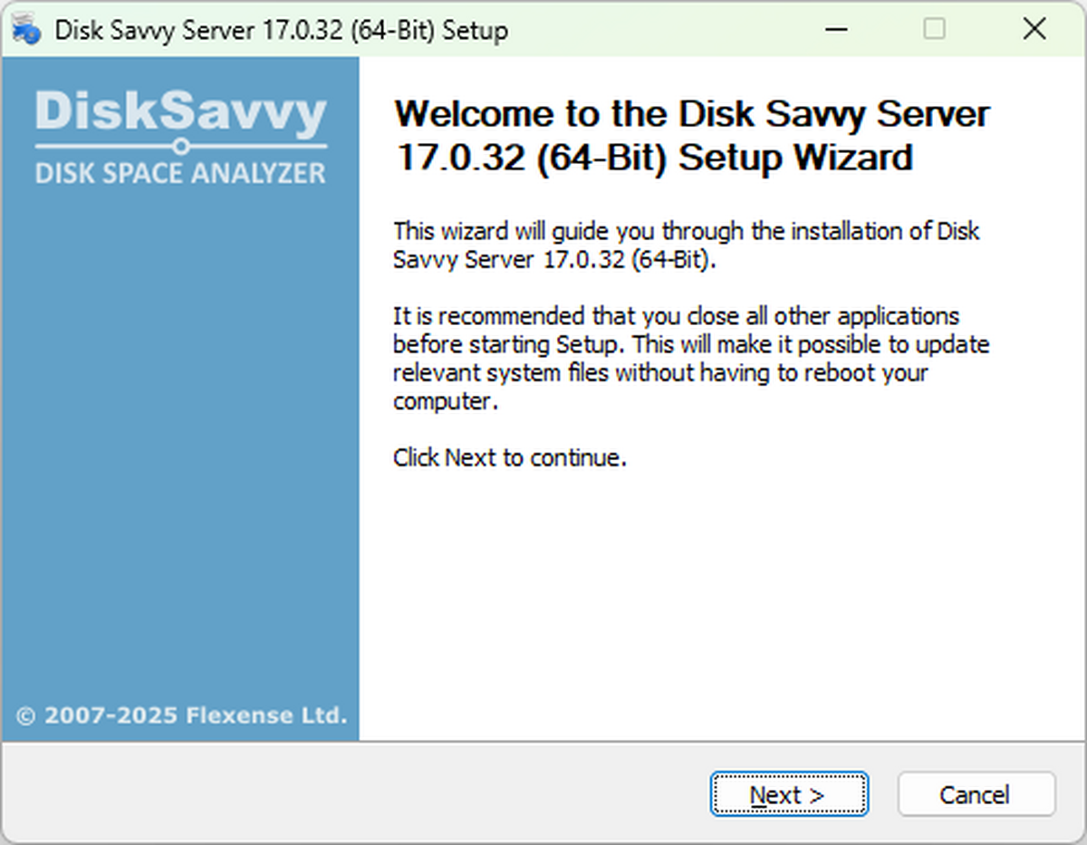 Disk Savvy Server