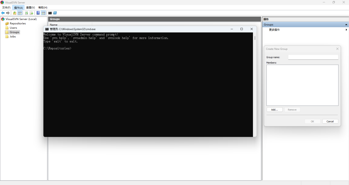 VisualSVN Server下载官方版-VisualSVN Serverv5.4.5.0电脑版下载-极极下载站