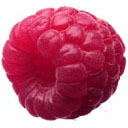 ��֦TumblrͼƬ��������