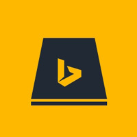 ��ӦBing���뷨